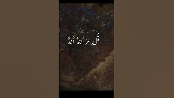 #قران_كريم القارئ الشيخ محمد الفقيه #اكسبلور #اللهم_صل_وسلم_على_نبينا_محمد ❤️ #سورة #الاخلاص
