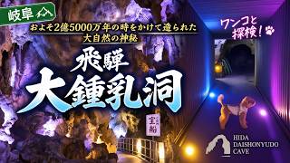 【飛騨大鍾乳洞】ワンコと洞窟探検！2億5000万年の時をかけた大自然の神秘