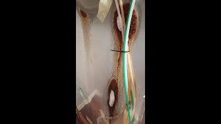 Frigidaire Ice maker Freezing Up Rusting on Back FIX