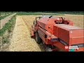 Zetva Jecma u Jelavu 24.06.2021.  | Deutz-Fahr M 2385 | barley harvest 2021