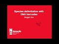 Delimiting species boundaries using DNA barcodes