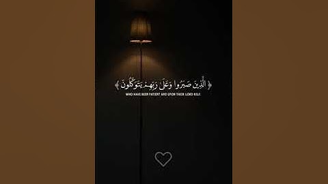 سورة العنكبوت الآية 56 ❤❤بصوت الشيخ عبدالرحمن مسعد ❤❤