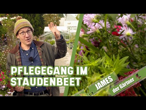 Video: Herbstsorgen Des Gärtners