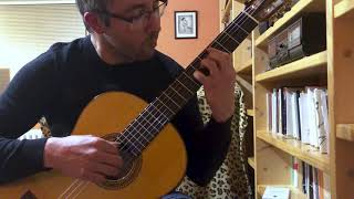 Vlasta Redl: Kolem a kolem (classical guitar cover)