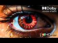 Predators in 4K HDR Part 2: The Ultimate Slow Motion OLED Nature Demo (4K/8K TV)