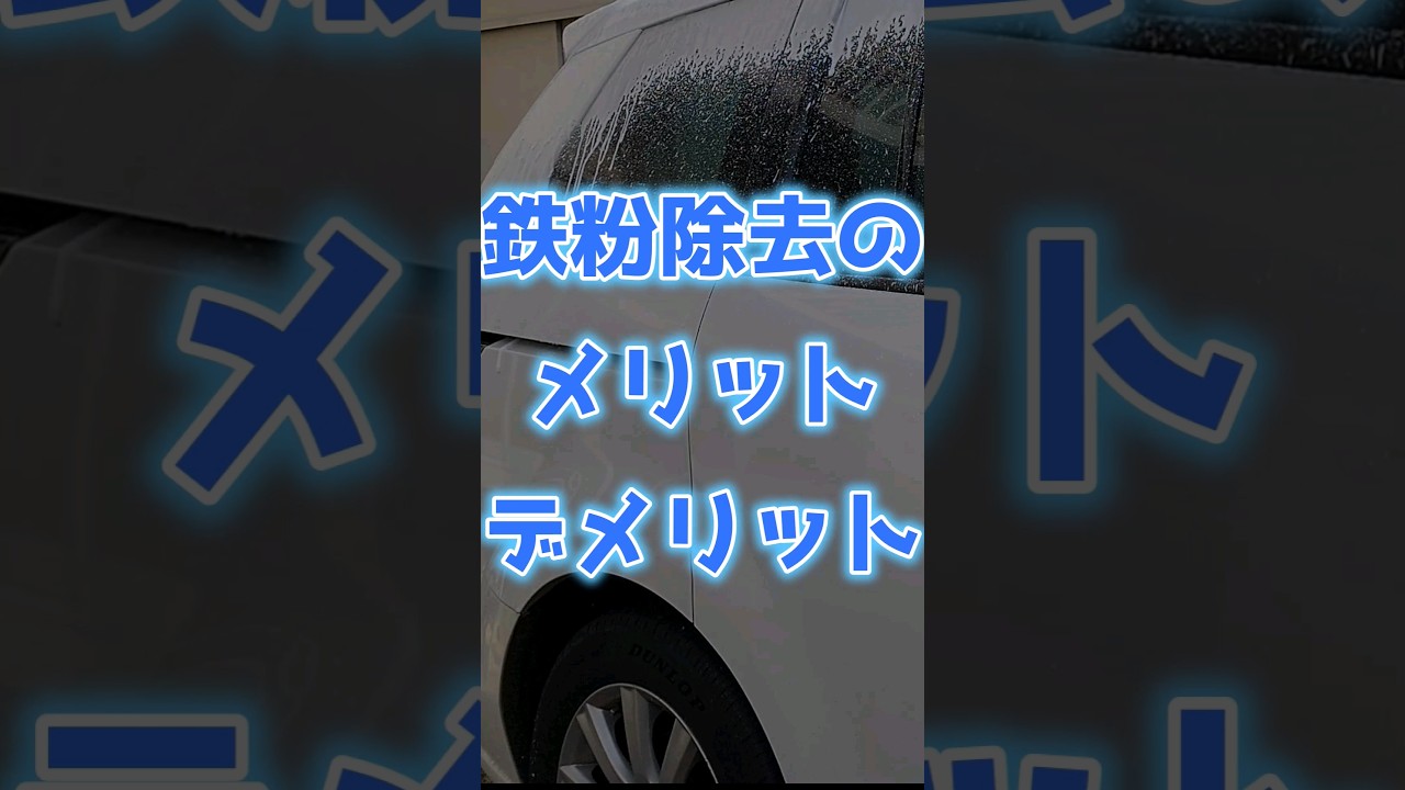 鉄 粉 除去 剤 デメリット