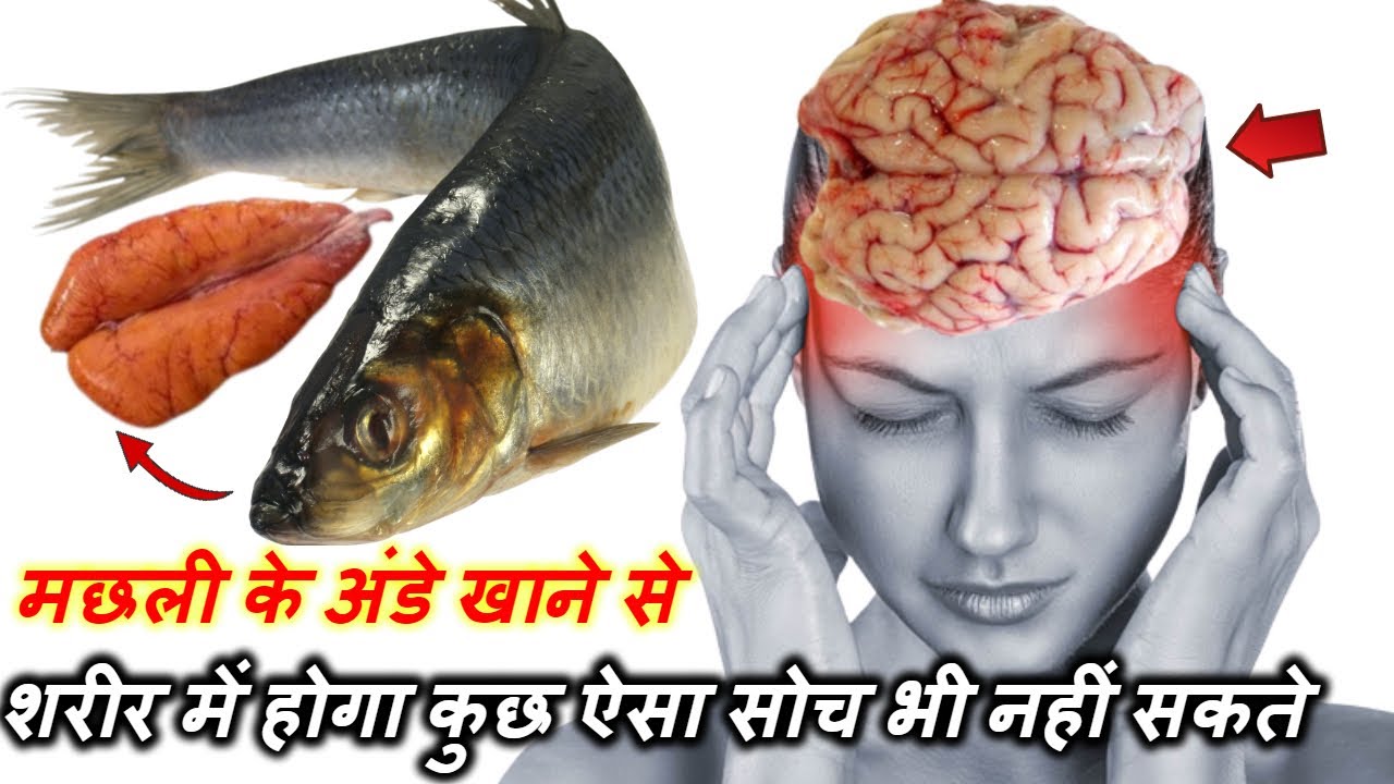 Fish Eggs: मछली के अंडे खाने से शरीर में होने वाले कामला के फायदे| Amazing Fish eggs benefits hindi
