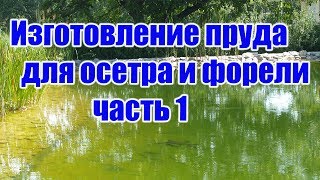 Изготовление пруда для осетра и форели (часть 1) Изготовление пруда для осетра и форели (часть 1)