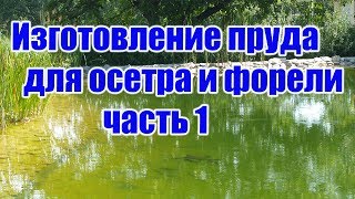 Изготовление пруда для осетра и форели (часть 1)