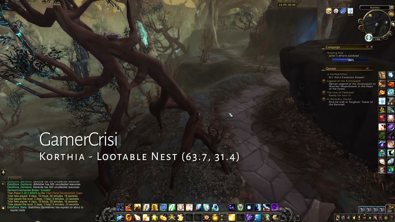 Nest of Unusual Materials on Tree by Keeper's Respite at End of the Road