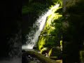 feel this Lyrics #love #song #lyrics_whatsapp_status