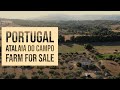 Farm for Sale - Atalaia do Campo, Fundão, Central Portugal, Property Tour, Quinta