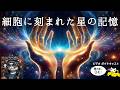 【細胞に刻まれた星の記憶】あなたは宇宙そのものだった【Podcast】