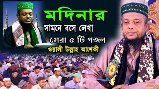 এইভাবে মদিনার সামনে বসে লেখা  ৫টি গজল |মাওলানা ওয়ালীউল্লাহ আশেকী lwaliullah asheki||Nayan  Waz Media