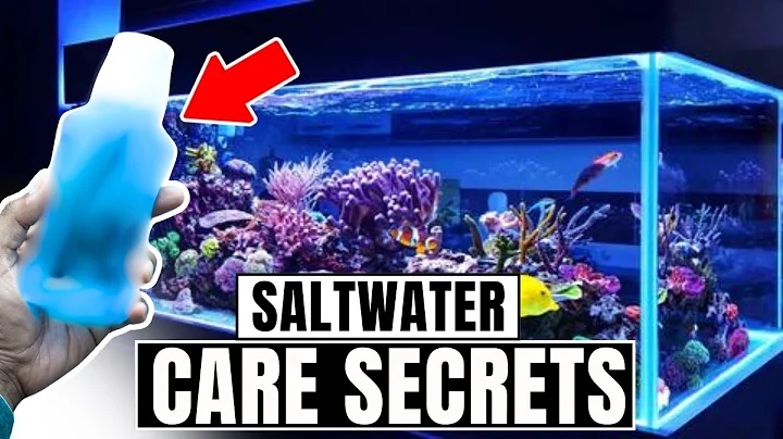 10 Things About Saltwater Aquariums I WISH I Knew Before I Started