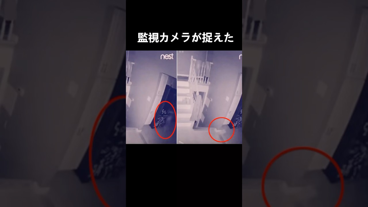 動く奇妙な白い影　