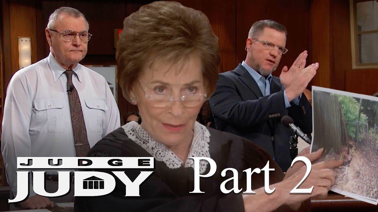 Man Cut Down Neighbor's Trees! | Part 2