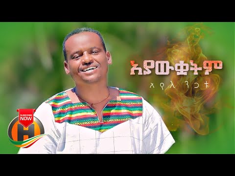Ayele Nigatu - Ayawkuwatim | አያውቋትም - New Ethiopian Music 2022 (Official Video)