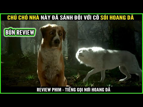 Video Chú chó nhà này đã sánh đôi với cô sói hoang dã -... - youtube