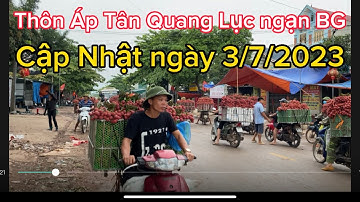 Vải Thiều Lục ngạn Bắc Giang cập Nhật giá ngày 3/7/2023 tại Áp Tân Quang Lục ngạn BG