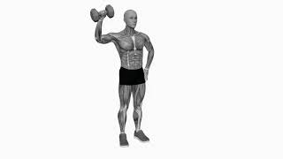 Dumbbell Upright Shoulder External Rotation - Proper Form &amp; Technique [4K]