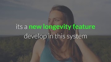 MMMBSC MODEL MECHANISM