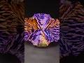 You Ve Never Seen Anything Like This Gemstone Cut