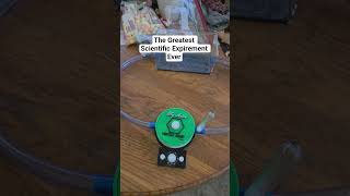 The Greatest Scientific Expirement Ever #ants #science #nature #comedy
