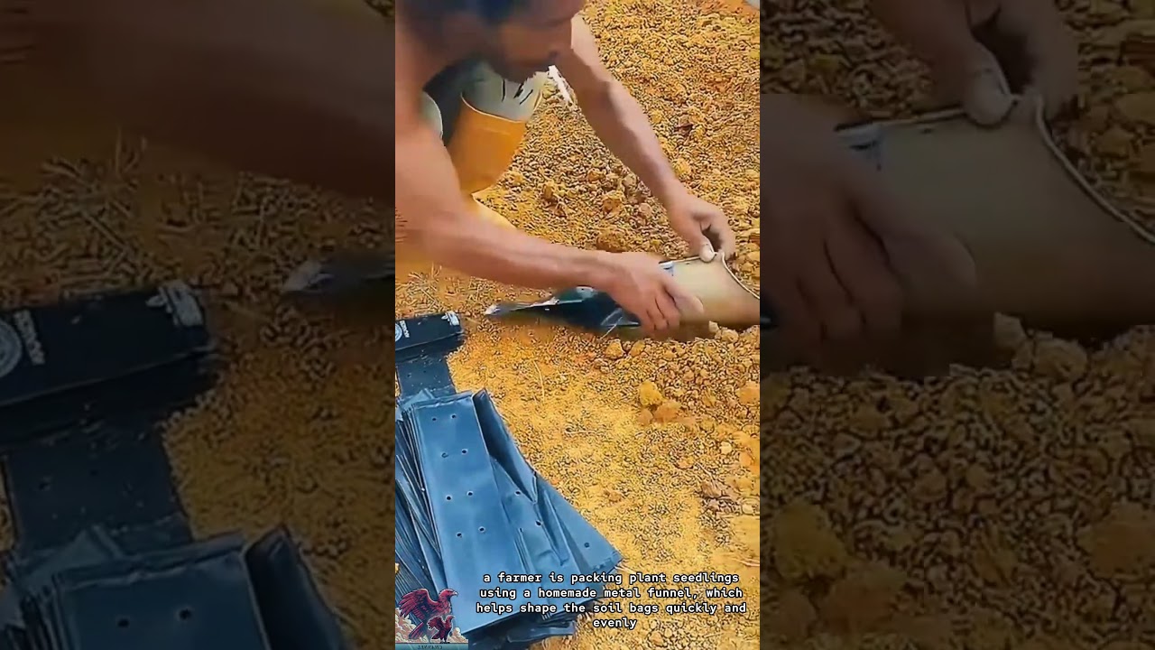 Fast Plant Packing || Handy Homemade Metal Funnel