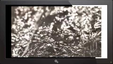 Sci Fi Science Physics of the Impossible 2009 Season 1 Episode 7