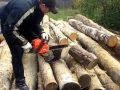Распиловка дров бензопилой