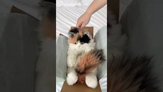 You Need This Stuffed Animals Cat Bag