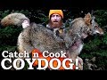 COYOTE Catch, Clean, Cook (The HONEST Truth About Meats!) | Calling Out Steve Rinella