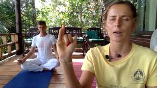 Шивананда йога класс видео запись
