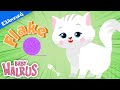 ΒΛΕΠΩ ΚΑΙ ΜΑΘΑΙΝΩ - Μαζί με τα Ζωάκια | Η Flake η γατούλα! | Ελληνική Παιδική Σειρά