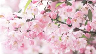 【GUMI】シスター【オリジナル】