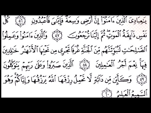 Tabu ona ogli jinsiy aloqa video