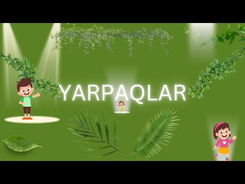 Usaq mahnisi - Yarpaqlar