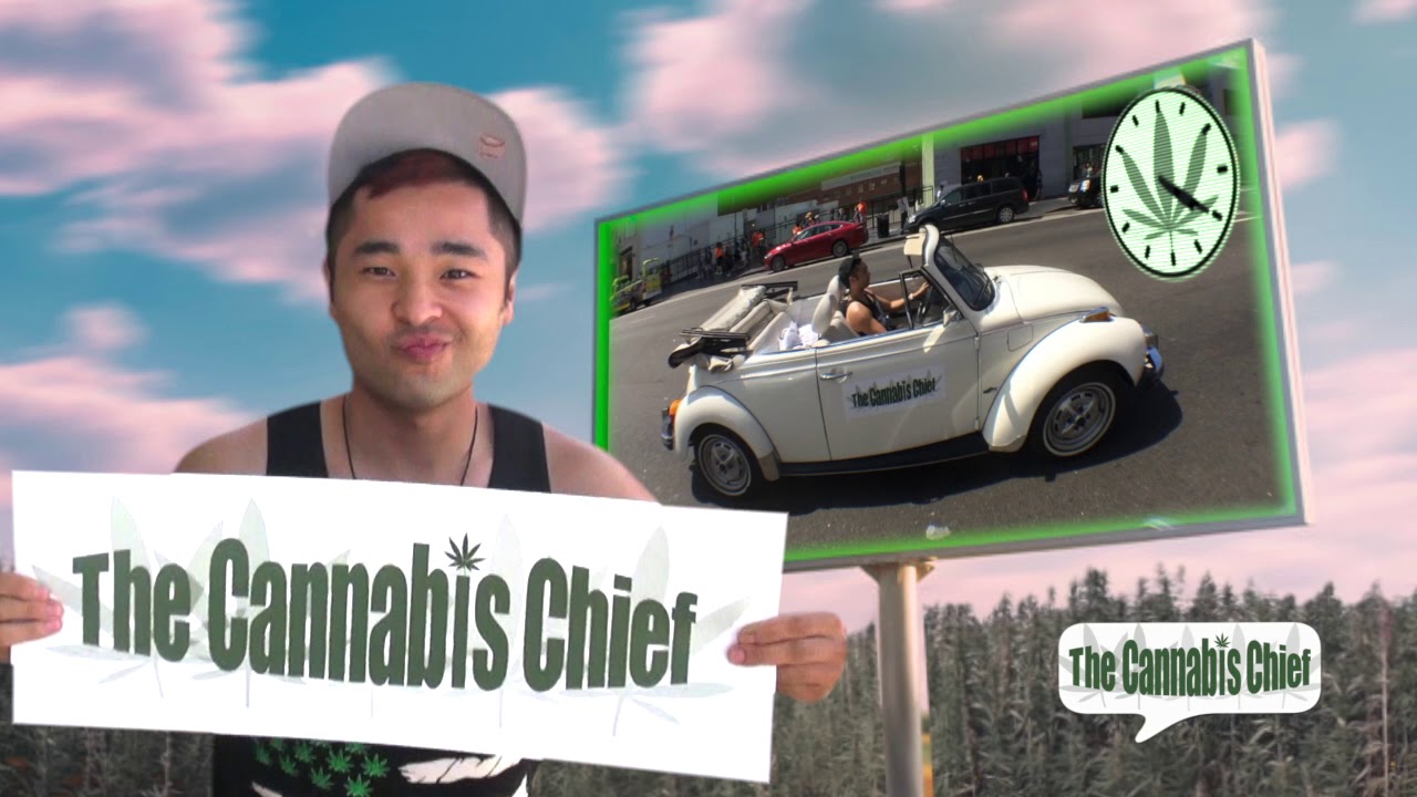 Brand Ambassador