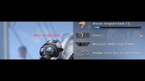 CSGO Silver 1 in my nutshell