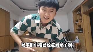 雅哲晚上散步碰到一只流浪猫不怕人 那我就把它逮回家#vlog #记录真实生活 #日常