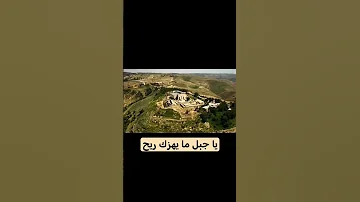 يا جبل ما يهزك ريح 