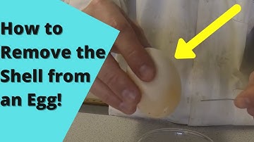 Egg vs Hydrochloric Acid!