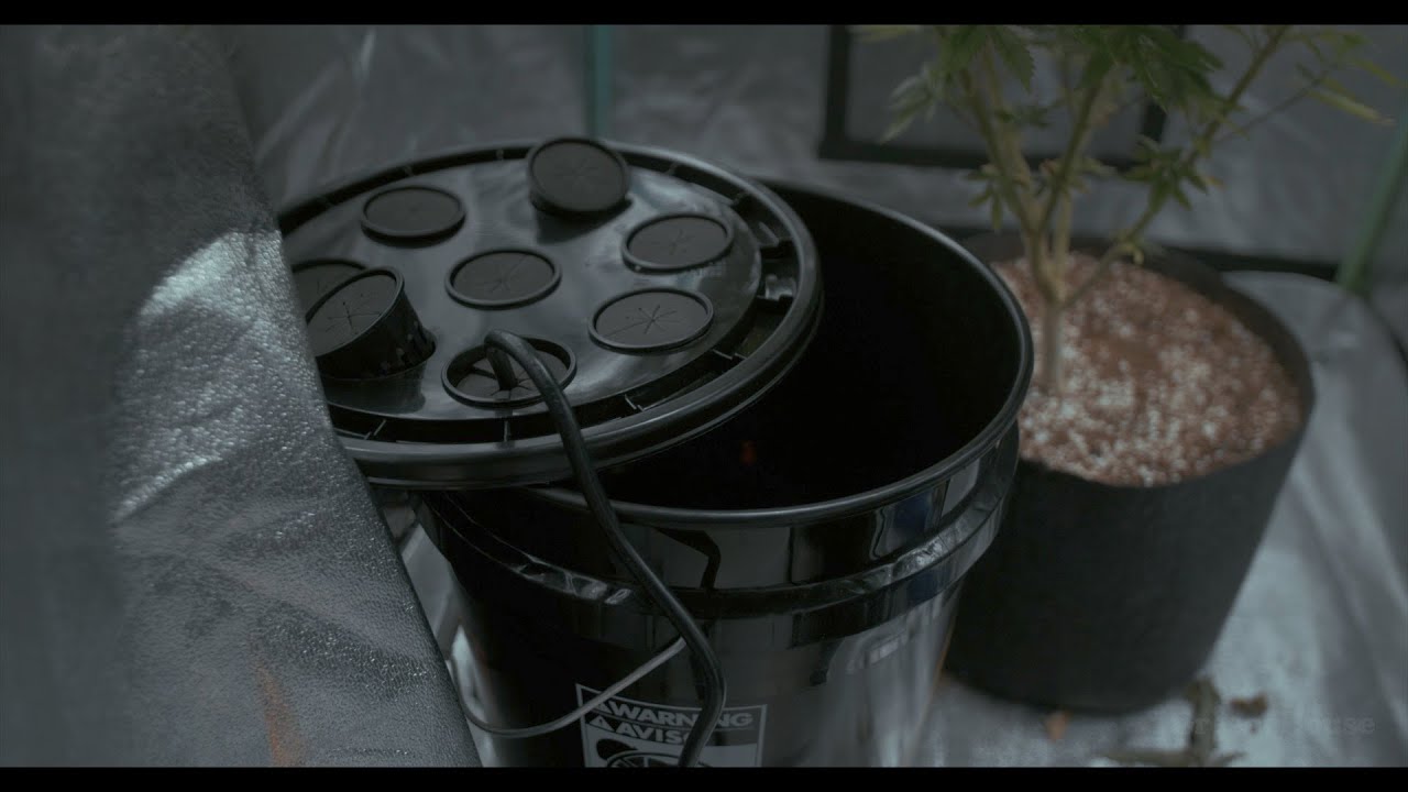 How To Make Your Own Cloning Machine: Clone Plants Easily With This Aeroponic System