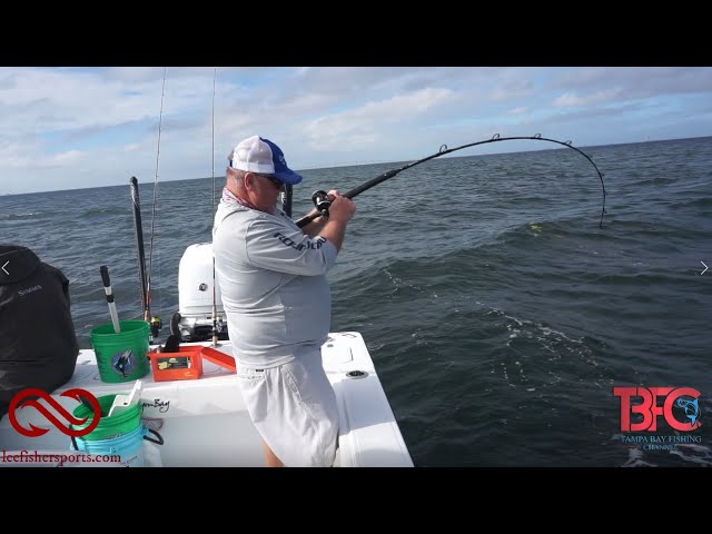 Inshore Bite was INSANE with Keeper Gag Grouper! 