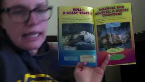 Who Would Win  Alligator vs Python Read Aloud