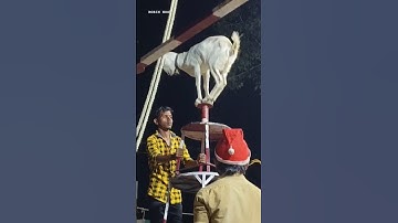 Full Video 💯 Click 👇 Village Circus Show #shorts #trending #fun #viral #reels