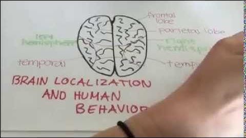 Localization of Function- Phineas Gage