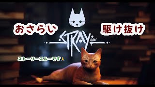 Stray  おさらい駆け抜け（ストーリースルー）