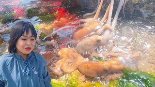[ENG SUB] Xiao Zhang rushed to the sea  sea cucumbers were flooded  and octopus multiplied a large